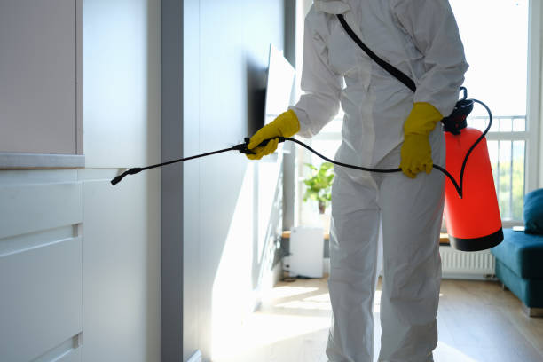 Best Mold Remediation for Specific Building Types in Fobes Hill, WA